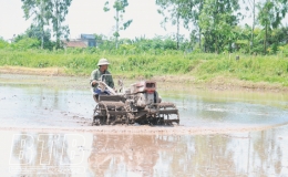 Quỳnh Phụ: Sẵn sàng sản xuất vụ xuân