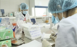 Sáng 30 Tết, Hải Dương và Quảng Ninh có thêm 18 ca mắc mới COVID-19