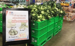 Siêu thị tập trung tiêu thụ nông sản Hải Dương
