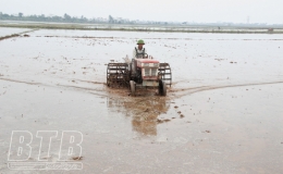 Tiền Hải: Tập trung làm đất sản xuất vụ xuân