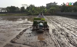 Vũ Thư: Máy cấy xuống đồng, ruộng hoang giảm mạnh