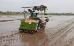 Khẩn trương cho sản xuất vụ xuân