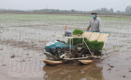 Lợi ích kép của tổ hợp tác dịch vụ máy cấy