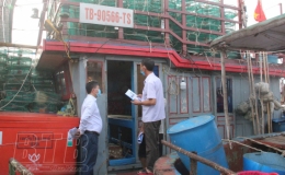 Phấn đấu 100% tàu cá xa bờ được lắp đặt và duy trì kết nối thiết bị giám sát hành trình tàu cá