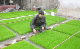 Tháng Giêng không còn là tháng “ăn chơi”