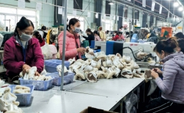 Tích cực lao động sản xuất và phòng dịch sau tết