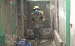 Tiền Hải: Bảo đảm an toàn vật nuôi khi tái đàn