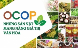 Ban hành Bộ tiêu chí và quy trình đánh giá, phân hạng sản phẩm OCOP