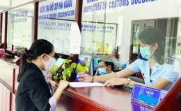 Bình Dương: Thực hiện quy định về luân chuyển, miễn nhiệm, từ chức đối với cán bộ