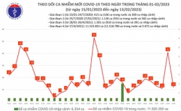 Ca mắc COVID-19 giảm trong ngày 13/2
