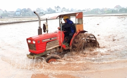 Hưng Hà: Nô nức xuống đồng sản xuất vụ xuân