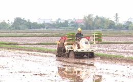 Kiến Xương phấn đấu hoàn thành gieo cấy lúa xuân trước ngày 25/2