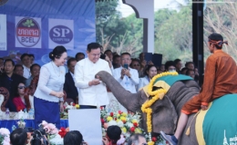 Lào khai mạc Lễ hội voi Sayaboury sau 3 năm gián đoạn vì đại dịch