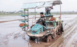 Mạ khay, cấy máy - bước chuyển trong tập quán canh tác lúa
