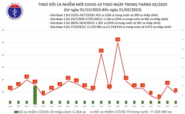 Ngày 21/2, số mắc COVID-19 mới giảm còn 9 ca