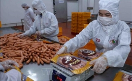 Những nhóm sản phẩm sẽ "lên ngôi" trên thế giới năm 2023
