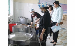 Phòng Giáo dục và Đào tạo huyện Vũ Thư: Tổ chức chuyên đề bữa ăn dinh dưỡng học đường