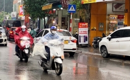 Theo dõi chặt chẽ thông tin cảnh báo thiên tai