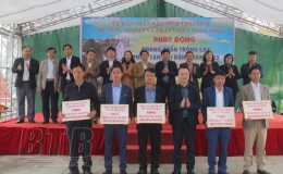 Tiếp nhận gần 20.000 cây giống mít dai vàng