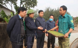Đồng chí Lại Văn Hoàn, Phó Chủ tịch UBND tỉnh: Kiểm tra công tác chuẩn bị sản xuất vụ xuân