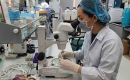 'TP HCM cần quan tâm yếu tố chấp nhận rủi ro trong khoa học'