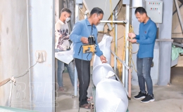 Ước mơ của “ông trùm” thóc