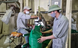 Vượt khó khăn, tận dụng cơ hội đẩy mạnh xuất khẩu gạo