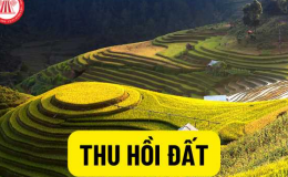 Các trường hợp thu hồi đất để phát triển kinh tế-xã hội vì lợi ích quốc gia, công cộng (Phần 3 và hết)