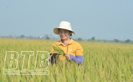 Hành trình xây dựng nền nông nghiệp giá trị cao