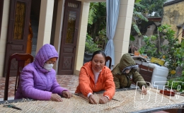 Hưng Hà: Đưa nghề về cho phụ nữ