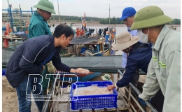 Khai thác nguồn nguyên liệu tại chỗ để phát triển