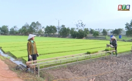 Kiến Xương đẩy mạnh cơ giới hóa trong sản xuất lúa