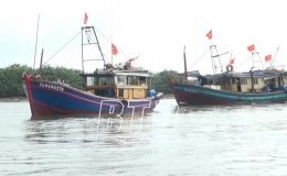 Mẻ lưới đầu năm đón đầy lộc biển