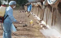 Mở chiến dịch tổng vệ sinh, tiêu độc khử trùng