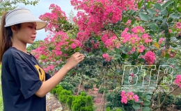 Vũ Thư: Nông nghiệp và du lịch hướng đến “hai trong một”