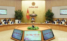 Tập trung triển khai hiệu quả các nhiệm vụ trọng tâm sau Tết Nguyên đán Giáp Thìn