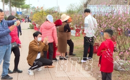 Thị trường hoa, cây cảnh ngày tết: Đông người bán, ít người mua