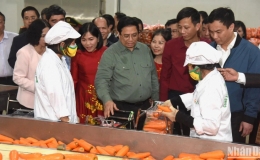 Tích cực ứng dụng chuyển đổi số để phát triển nông nghiệp xanh, hiện đại, gia tăng giá trị nông sản