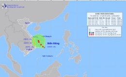 Bộ Nông nghiệp đề nghị chủ động ứng phó với áp thấp nhiệt đới trên biển Đông