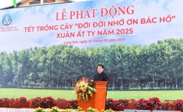 Chủ tịch nước Lương Cường phát động Tết trồng cây "Đời đời nhớ ơn Bác Hồ" Xuân Ất Tỵ năm 2025