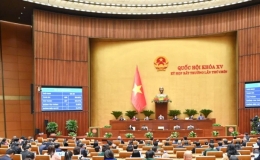 Phấn đấu thực hiện thành công mục tiêu tăng trưởng 8% trở lên năm 2025