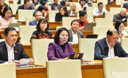 Sửa đổi Luật Tổ chức Chính phủ: Đẩy mạnh phân cấp, phân quyền