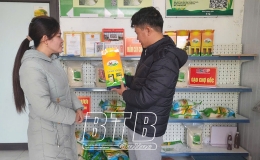Toàn tỉnh có 270 HTX nông nghiệp tham gia liên kết tiêu thụ sản phẩm