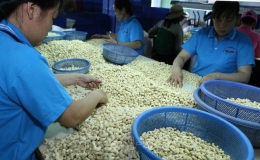 Tổng kim ngạch xuất, nhập khẩu đạt 63,15 tỷ USD