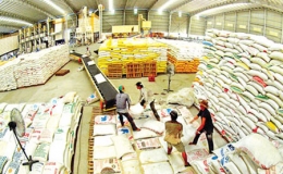 Đã mua tạm trữ hơn 200.000 tấn gạo