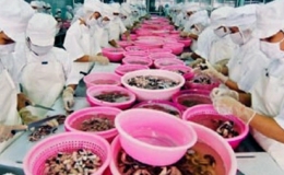 Xuất khẩu hàng Việt vào Pakistan sẽ tăng nhẹ năm 2013