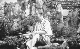 Cái nhìn
