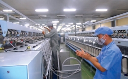 Thực hiện pháp luật về sử dụng lao động