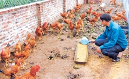 Để vốn tín dụng chính sách gần dân, đạt hiệu quả cao