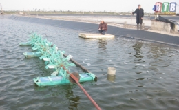 Tập huấn nâng cao kiến thức quản lý nhà nước trong lĩnh vực nuôi trồng thủy sản